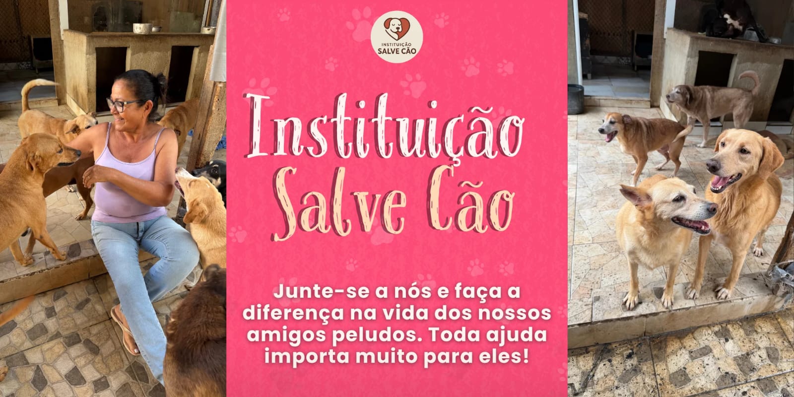 Instituicao Salve Cao - Junte-se a nos e faca a diferenca na vida dos nossos amigos peludos